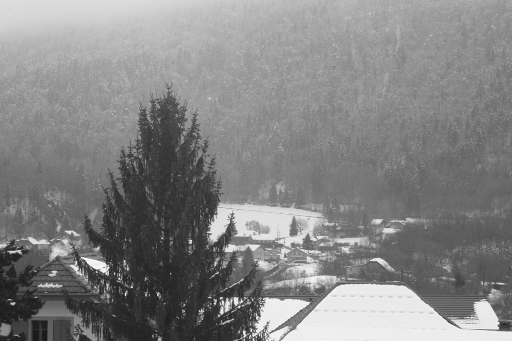 Accueil Savoyard Hotel Mieussy Quarto foto